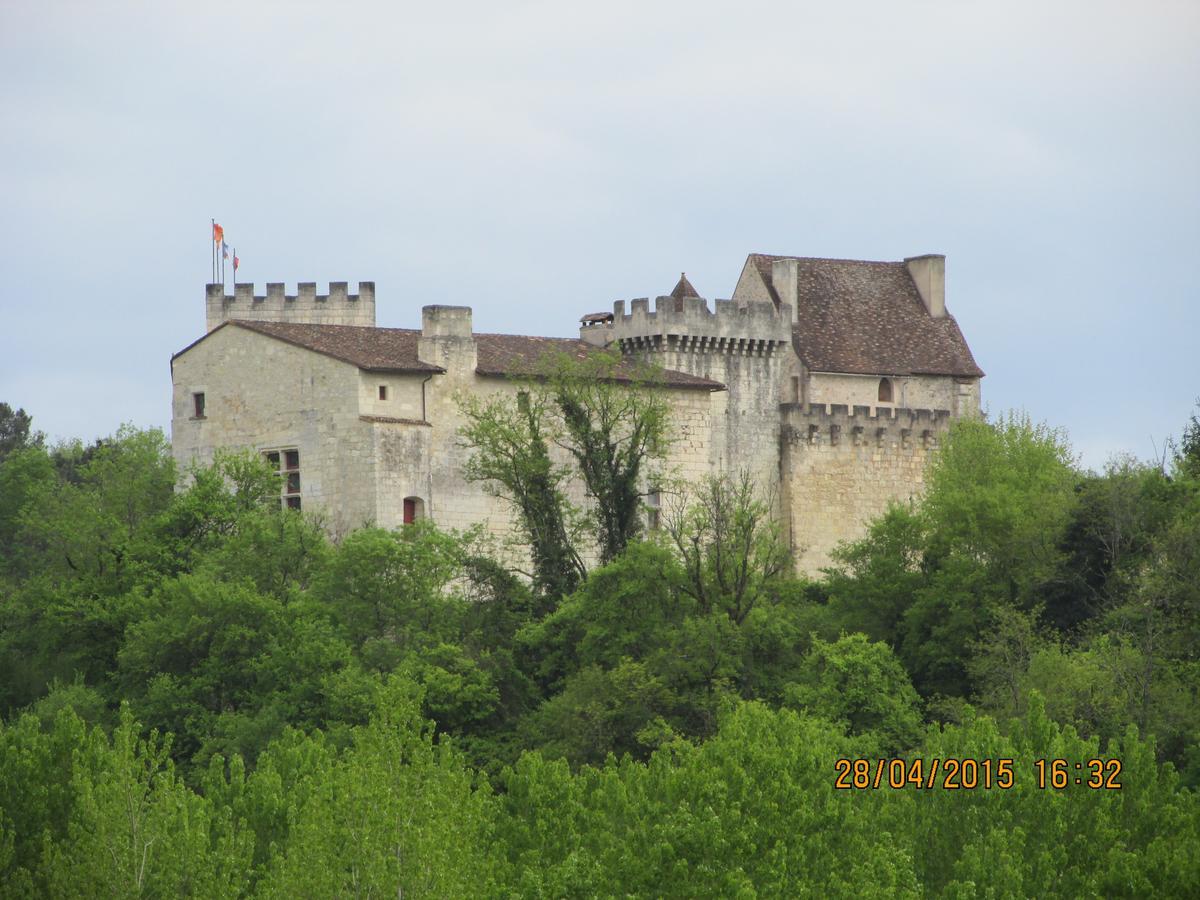 Hotel Le Relais Du Chateau Grignols  Εξωτερικό φωτογραφία