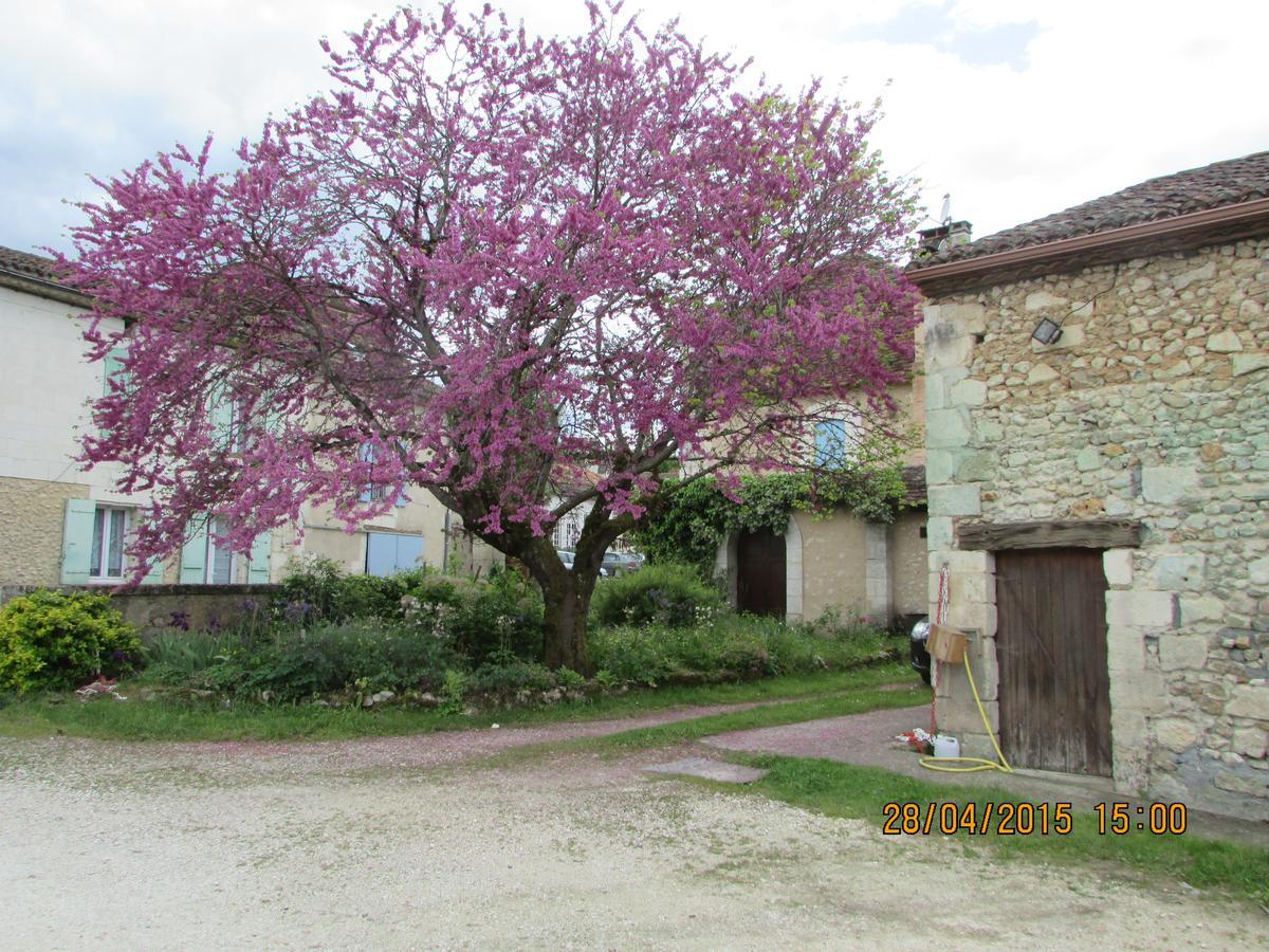 Hotel Le Relais Du Chateau Grignols  Εξωτερικό φωτογραφία